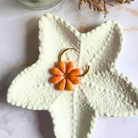 Plateau étoile de mer