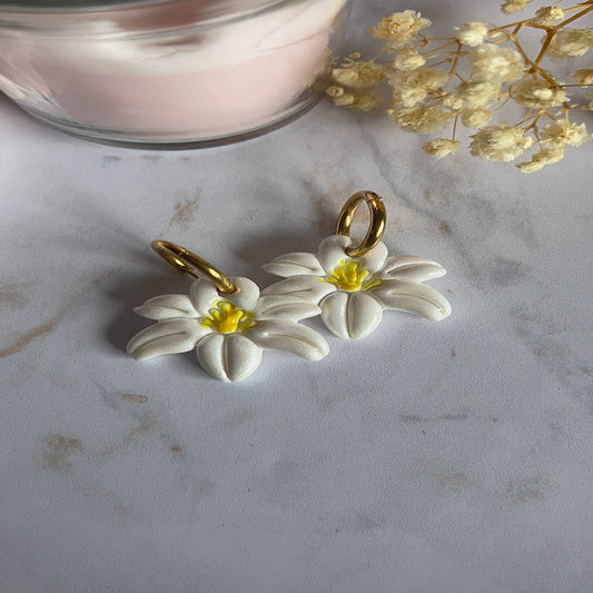 Les Fleurs de lys ⚜️