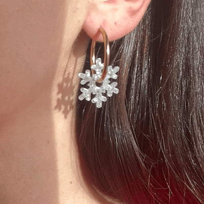 Les pétilles givrées