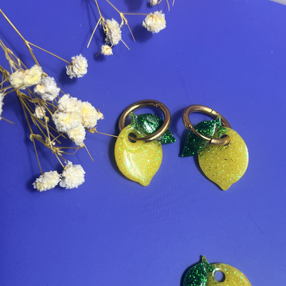 Les pétilles Citron🍋