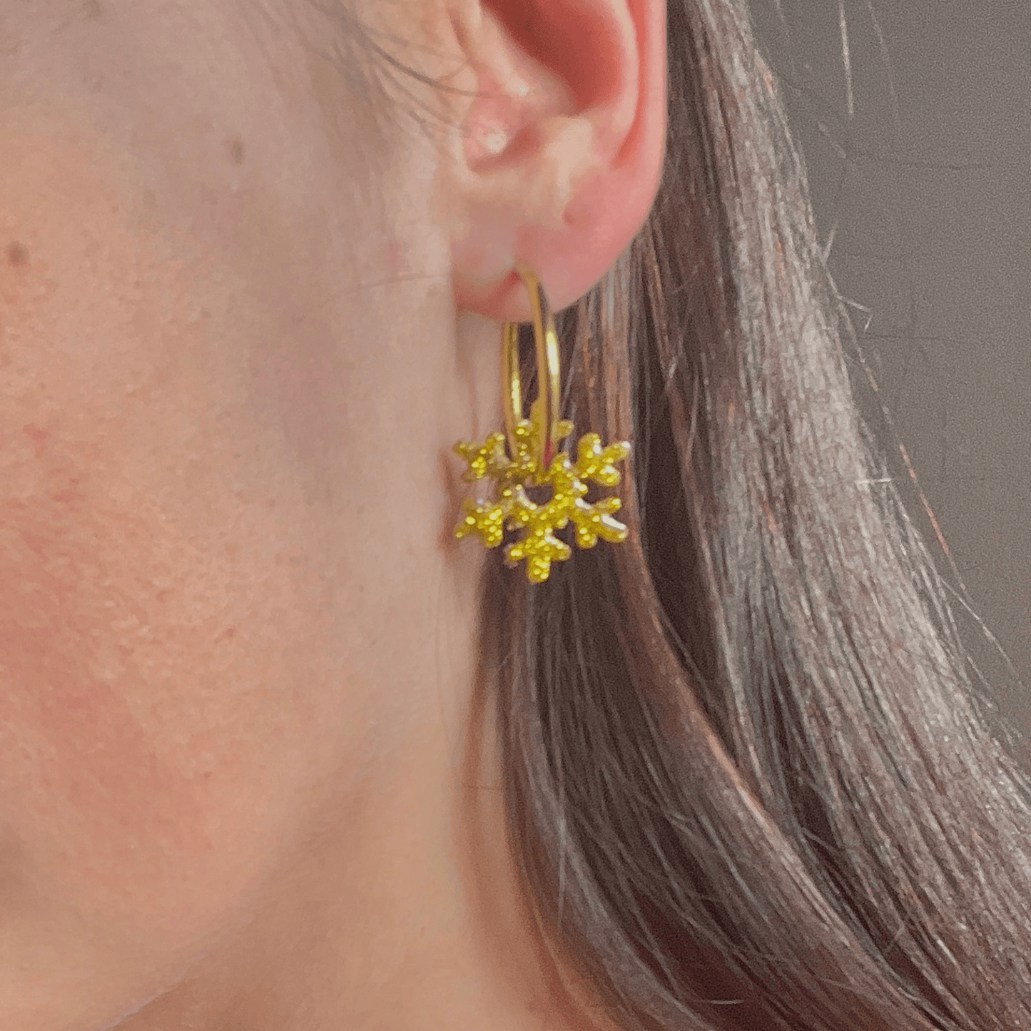 Les pétilles givrées